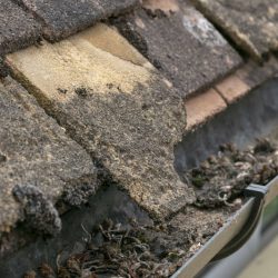 Roof damage to tiles