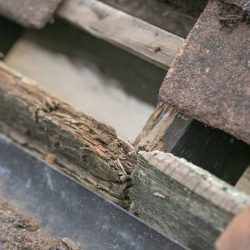 Roof damage rotten timber