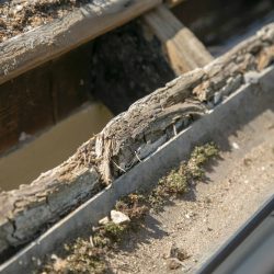 Roof damage under tiles